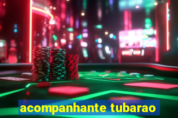 acompanhante tubarao